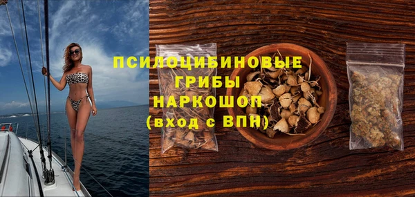 прущие грибы Всеволожск