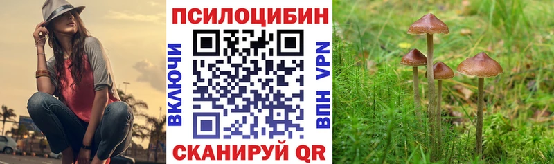 Псилоцибиновые грибы Psilocybe  сайты даркнета какой сайт  Жуковка  как найти закладки 